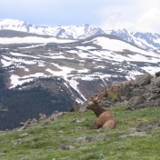 Enjoying the Scenery by April Littrell