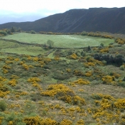 Irish Gorge by Jamie Wallin