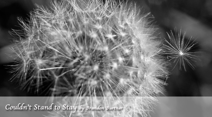 Couldn't Stand to Stay by Brandon Burtner