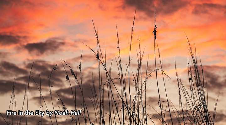 Fire in the Sky by Noah Hall