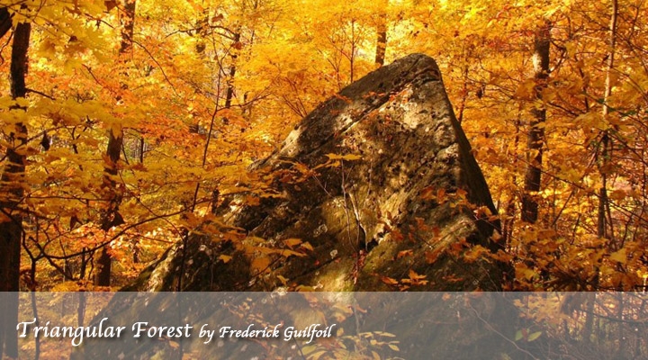 Triangular Forest by Frederick Guilfoil