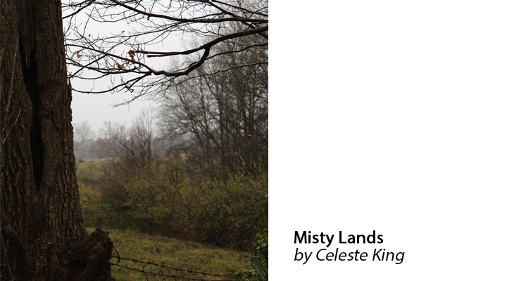 Misty Land by Celeste King