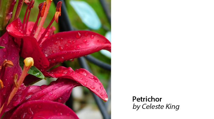 Petrichor by Celeste King