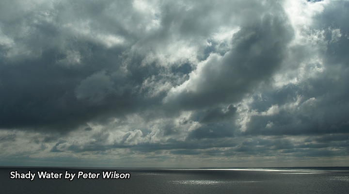 Shady Water by Peter Wilson