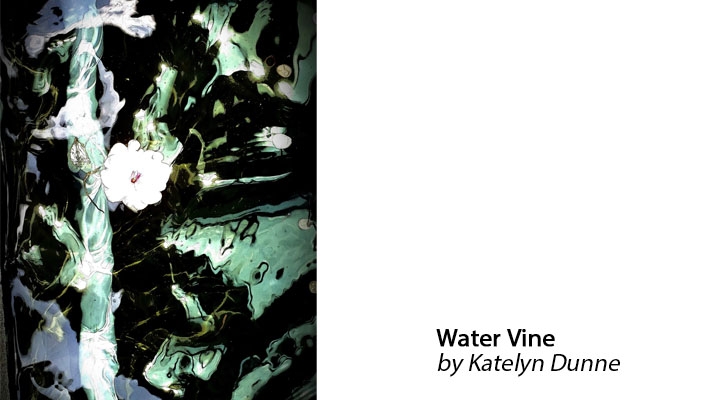 Water Vine by Katelyn Dunne