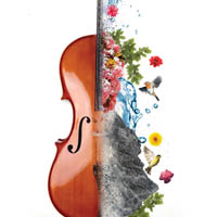 Cello Poster by David Caudill